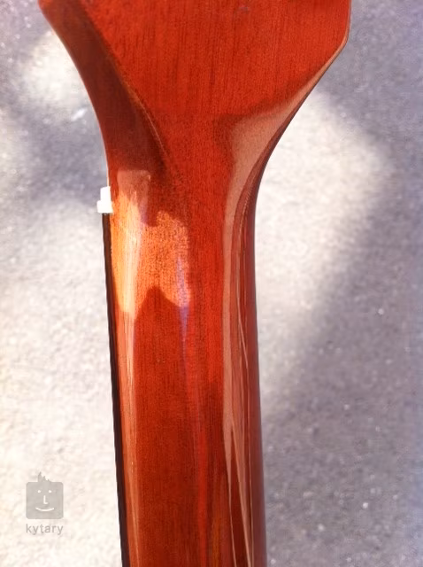 Ibanez EW 50CBE NT (poškozeno) - Elektroakustická kytara