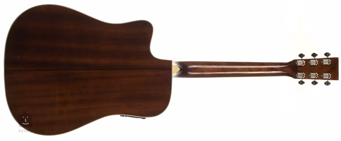 Recording King RD-16-CFE-N - Elektroakustická kytara