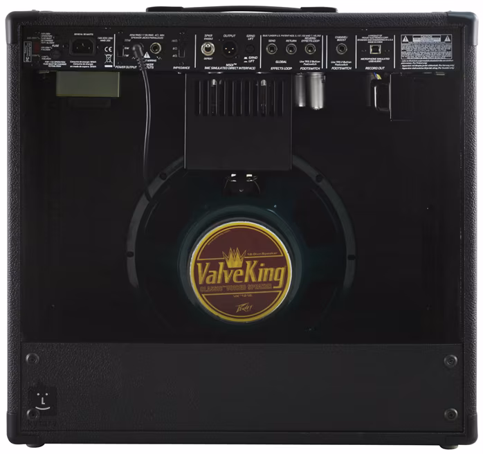Peavey Valveking II Combo 20 - Kytarové lampové kombo