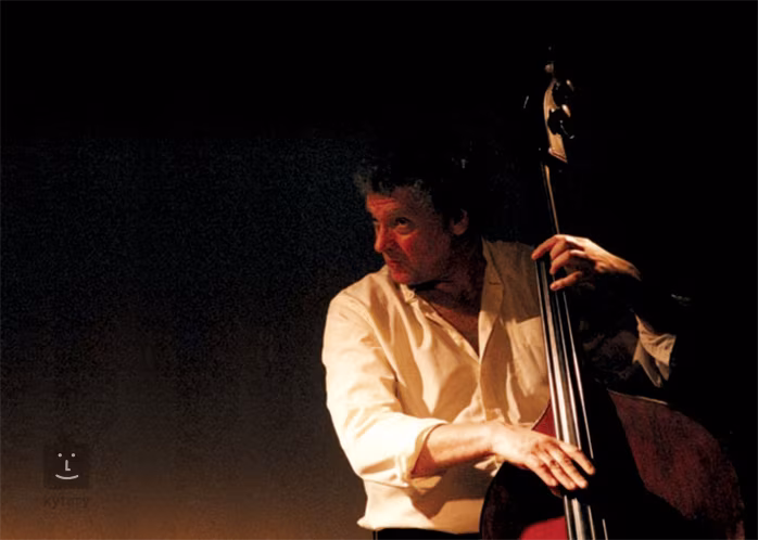 IK Multimedia Miroslav Philharmonik - Software