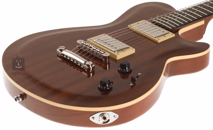 Godin Icon Type 2 Classic Natural HG - Elektrická kytara