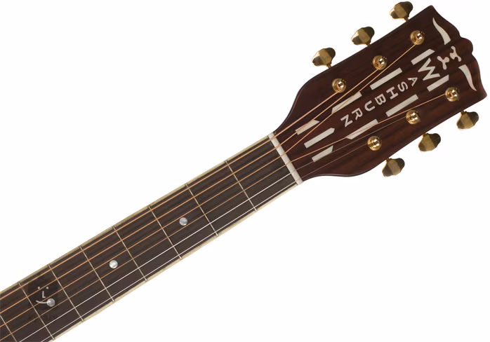 Washburn WSD5240S TS - Akustická kytara