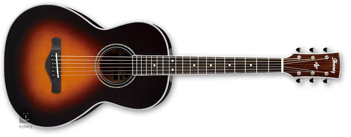 Ibanez AVN 1 BS - Akustická kytara