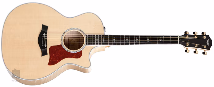 Taylor 614ce - Elektroakustická kytara