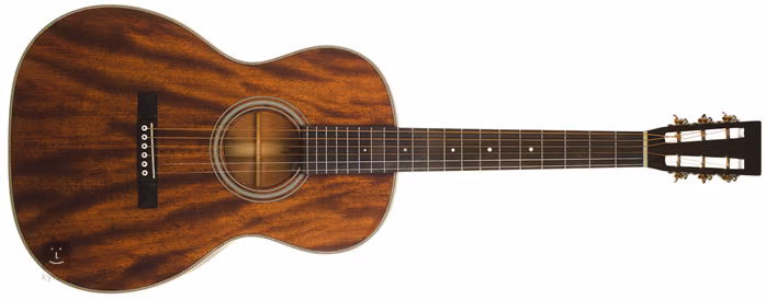 Recording King ROS-616 - Akustická kytara