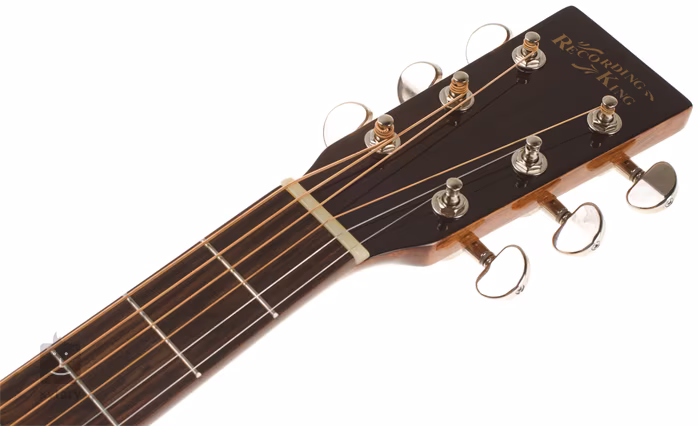 Recording King RD-10 - Akustická kytara