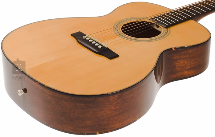 Recording King RO-10 - Akustická kytara