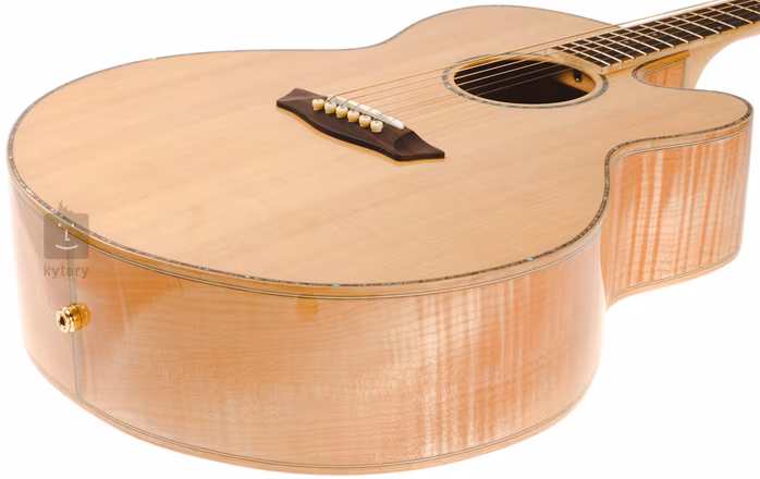 Washburn WJ45SCE - Elektroakustická kytara