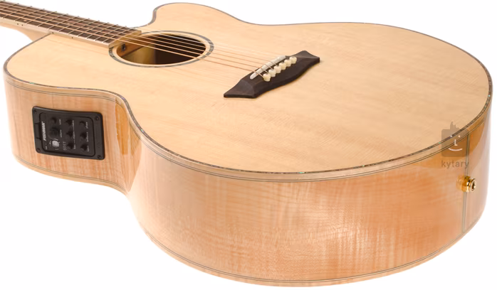 Washburn WJ45SCE - Elektroakustická kytara