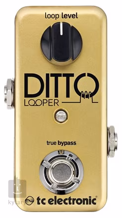 TC Electronic Ditto Looper Gold Limited Edition - Kytarový efekt