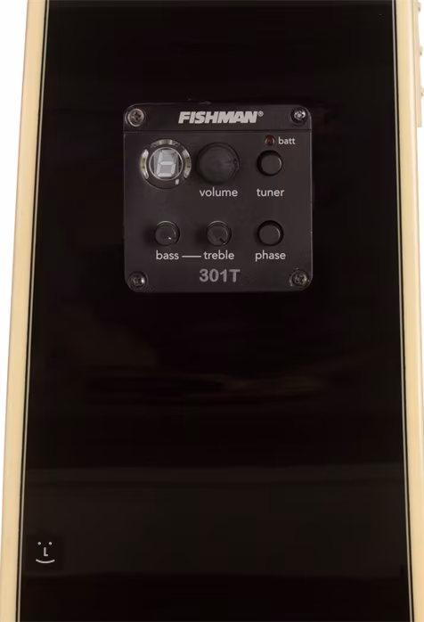 Washburn WD2014LTDBE - Elektroakustická kytara