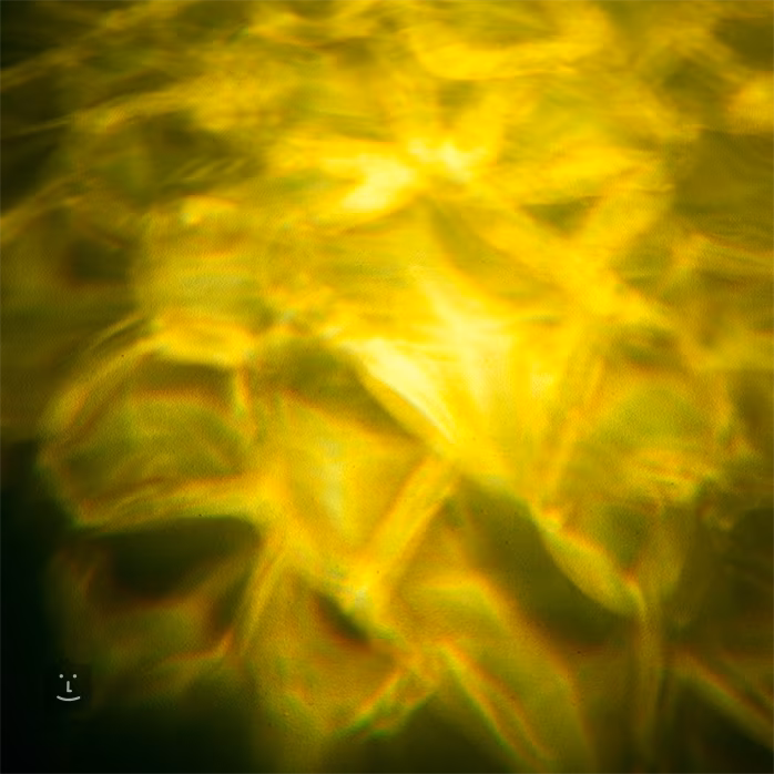 ADJ H2O DMX IR - H2O projektor