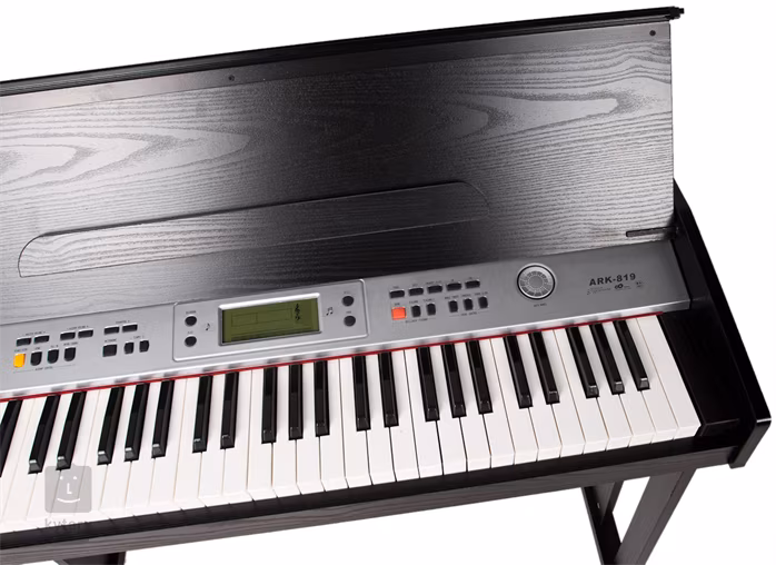 Fox 819 (aukro) - Klávesy s dynamikou úhozu