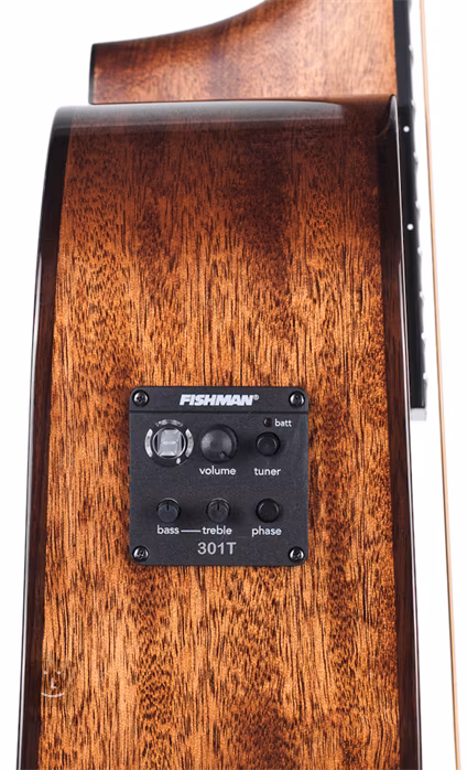 Washburn Woodline WLD10SCE - Elektroakustická kytara