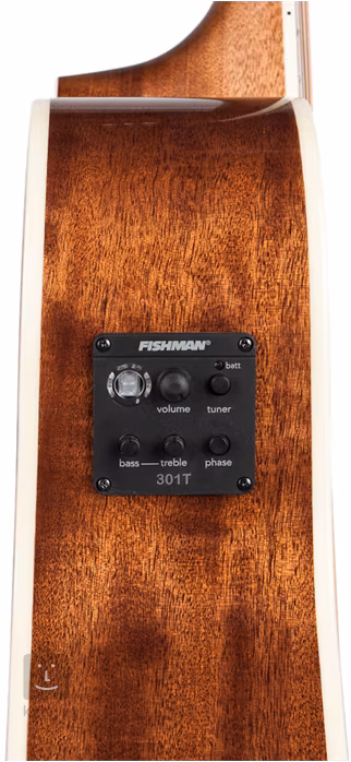 Washburn Heritage HF11SCE - Elektroakustická kytara