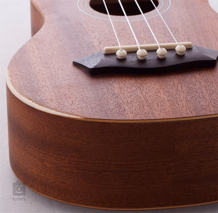 Washburn U20 (použité) - Akustické ukulele