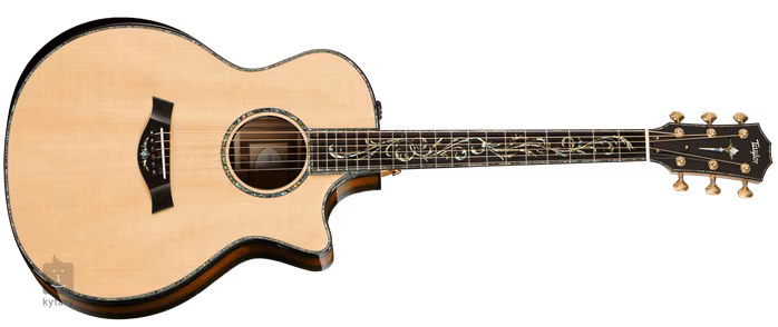 Taylor PS14ce - Elektroakustická kytara
