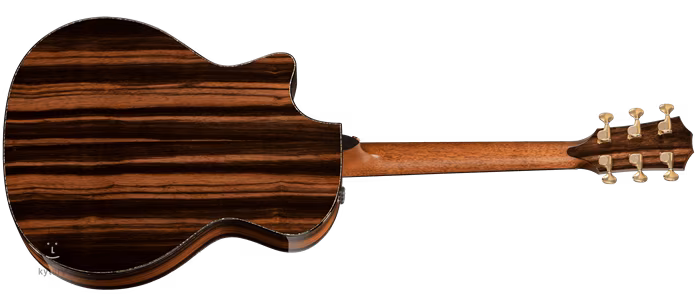 Taylor PS14ce - Elektroakustická kytara