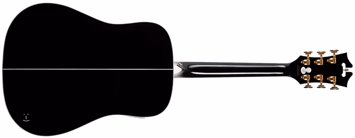 D'Angelico AA-SD 300 BLK - Elektroakustická kytara