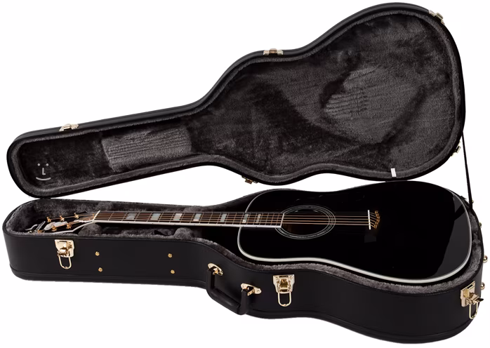 D'Angelico AA-SD 300 BLK - Elektroakustická kytara