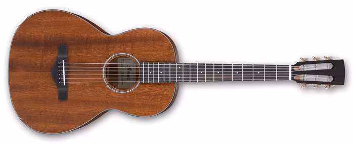 Ibanez AVN9-OPN - Akustická kytara