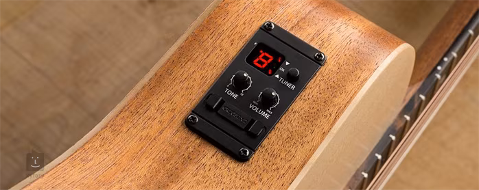 Taylor Academy A12e - Elektroakustická kytara