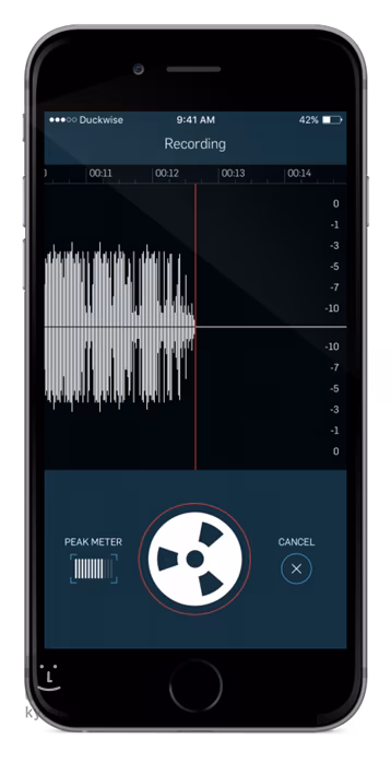 TC Electronic WireTap Riff Recorder - Rekordér