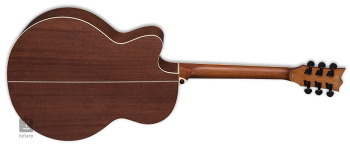 ESP LTD J-310E NS - Elektroakustická kytara