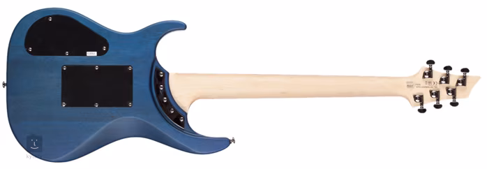 Washburn Parallaxe PXM10FRQTBLM - Elektrická kytara