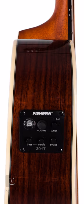 Washburn EA20SNB Nuno Bettencourt Signature - Elektroakustická kytara