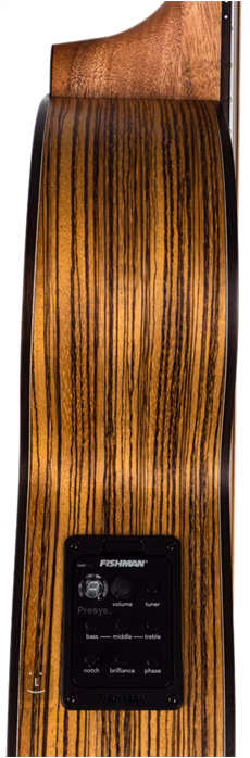 Dowina Marus GACE-S - Elektroakustická kytara