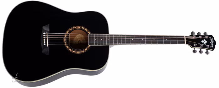 Washburn WD10B-A-U - Akustická kytara