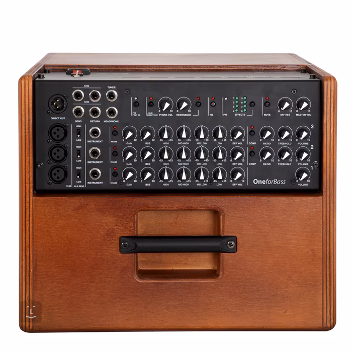 Acus One FORBASS Wood - Baskytarové tranzistorové kombo