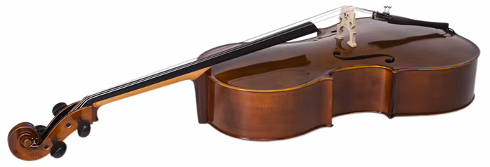 Strunal Schönbach Violoncello Solist 4/3we 4/4 - Violoncello