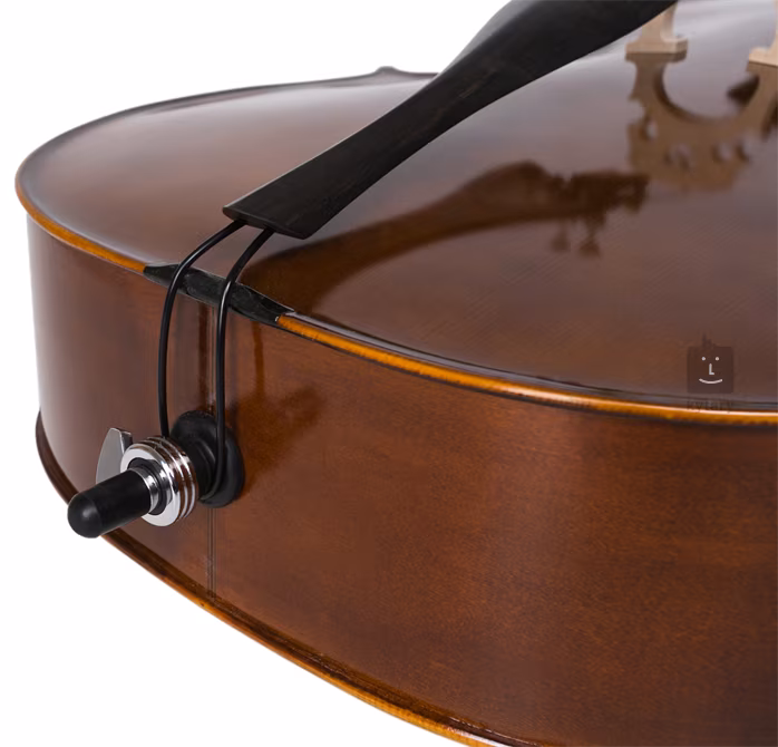 Strunal Schönbach Violoncello Solist 4/3c 1/2 - Violoncello