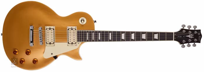 Jay Turser JT-220-GT-A-U - Elektrická kytara