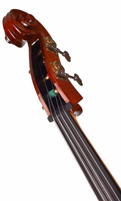 Strunal Schönbach Kontrabas Talent 50/4 D 3/4 - Akustický kontrabas