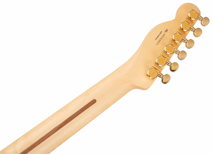 Fender LTD Deluxe Telecaster Thinline MN SBK - Elektrická kytara