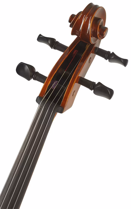 Strunal Schönbach Violoncello Bern 4/4weA 4/4 - Violoncello