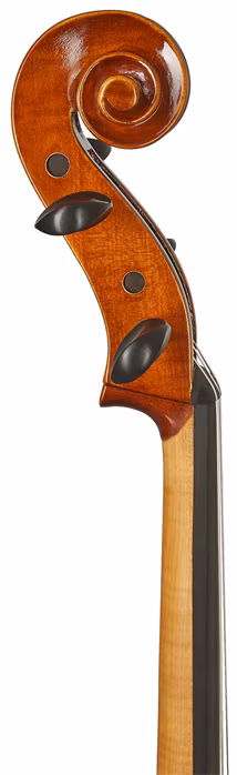 Strunal Schönbach Violoncello Bern 4/4weA 4/4 - Violoncello