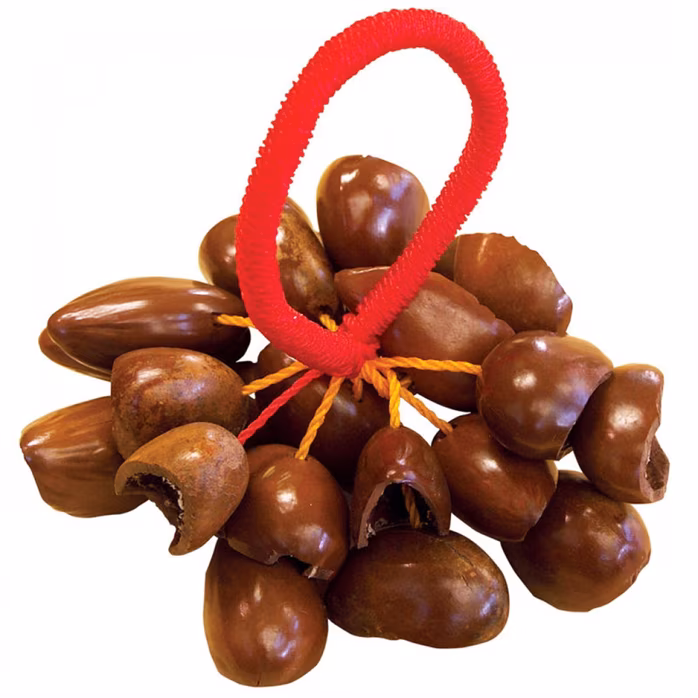 PP World Percussion African Nut Shell Shaker - Shaker