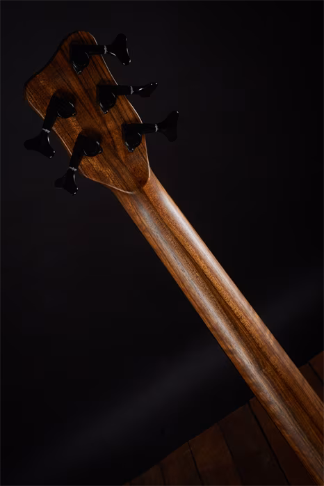 Warwick 2018 Corvette GPS 5A Fretless - Elektrická bezpražcová baskytara