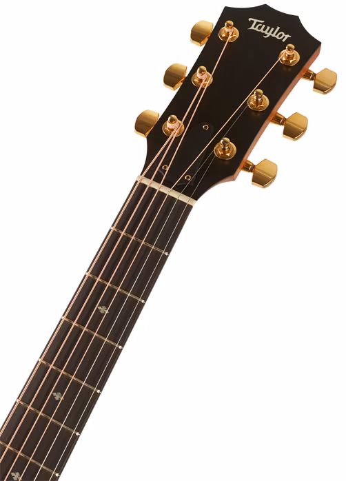 Taylor 214ce-FO DLX LTD - Elektroakustická kytara