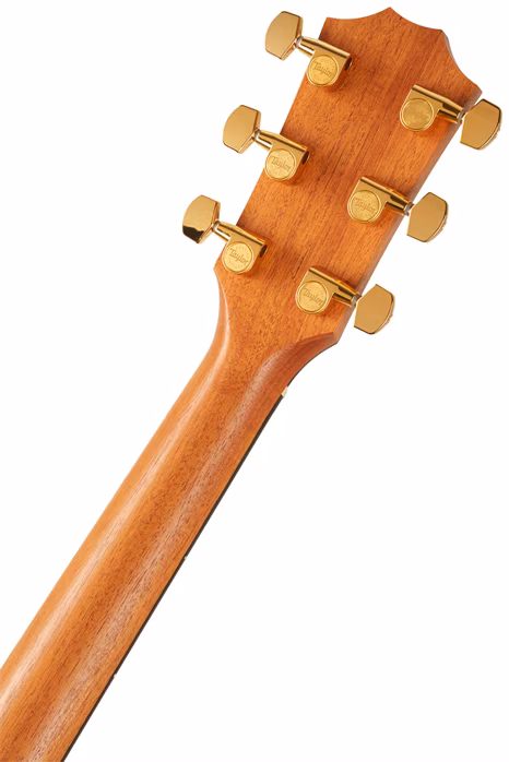 Taylor 214ce-FO DLX LTD - Elektroakustická kytara