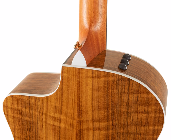 Taylor 214ce-FO DLX LTD - Elektroakustická kytara