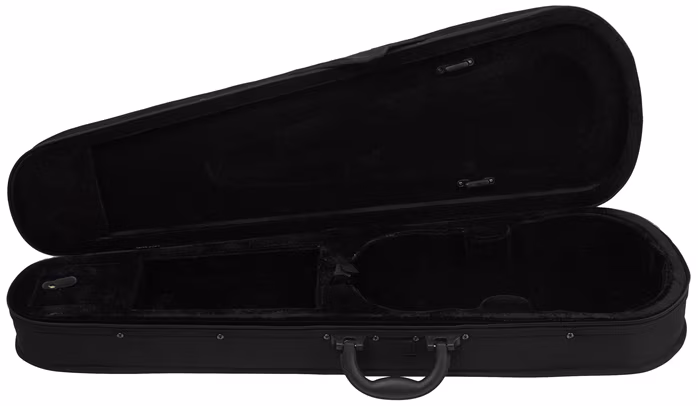 Palatino VC 300 Vln Case - Pouzdro na housle