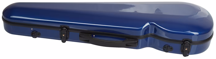 Palatino FG 240 BL Vln Case - Pouzdro na housle