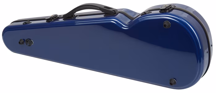 Palatino FG 240 BL Vln Case - Pouzdro na housle
