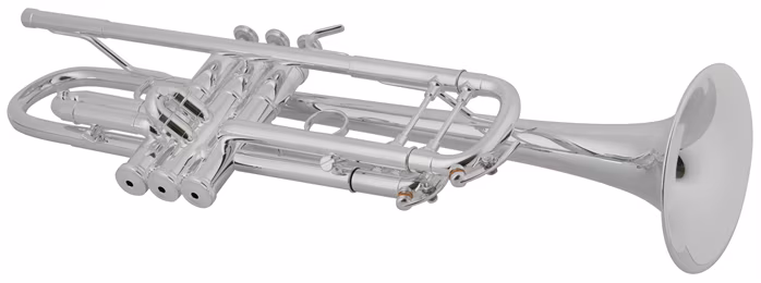 VanLaar B5 Silver - Trubka