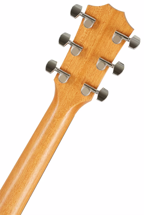 Taylor 214ce-K - Elektroakustická kytara